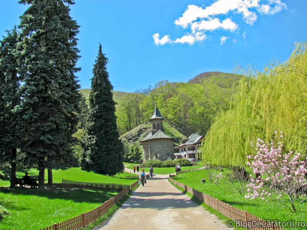 Casa Romeo&Julieta Hotel Haţeg Exterior foto